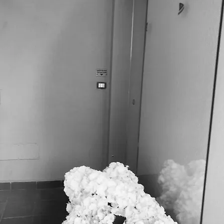 Viale San Martino 4* Messina