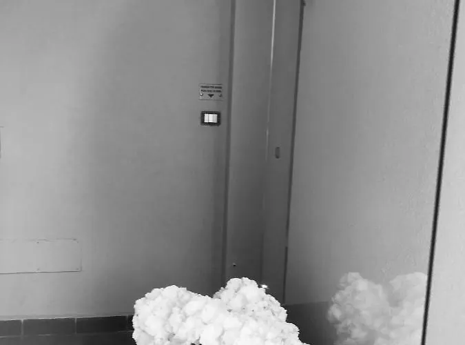 Viale San Martino 4* Messina